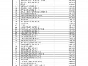 2017年中国商业零售百强名单