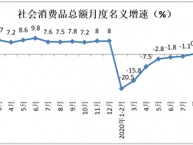 2020年1-10月份消费品市场运行情况分析