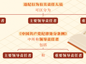 直接责任、主要领导责任、重要领导责任如何区分?