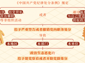 对干扰巡视巡察工作的处分规定有哪些?