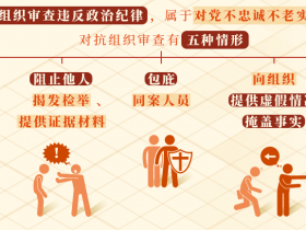 对抗组织审查行为的处分规定