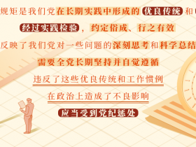 关于违反党的政治规矩的处分规定