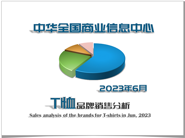 2023年6月T恤品牌销售分析