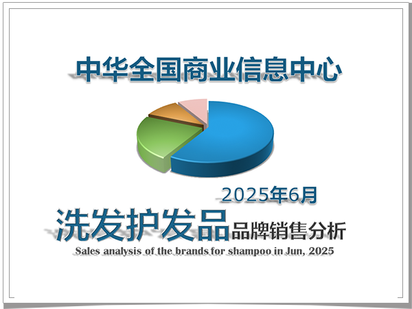 2025年6月洗发护发品品牌销售分析