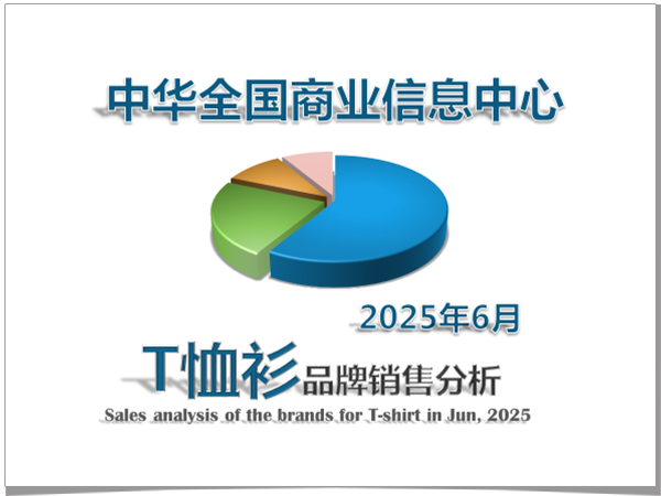 2025年6月T恤衫品牌销售分析