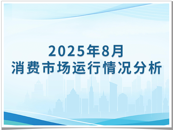 2025年8月份消费市场运行情况分析